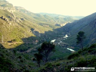 Sierra de Enmedio - Río Guadiela;mochilas para trekking tejo taxus baccata arbol del tejo